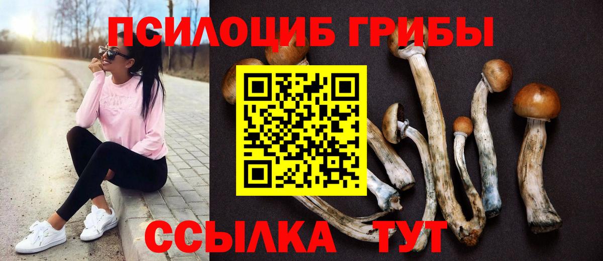 Галлюциногенные грибы GOLDEN TEACHER Новодвинск