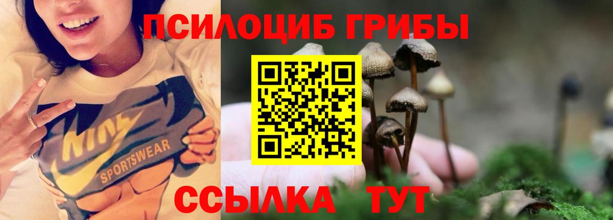 Галлюциногенные грибы мицелий  Вход с VPN  Новодвинск 